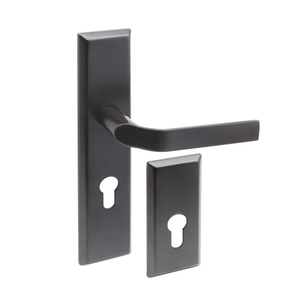 Door handles for entrance doors